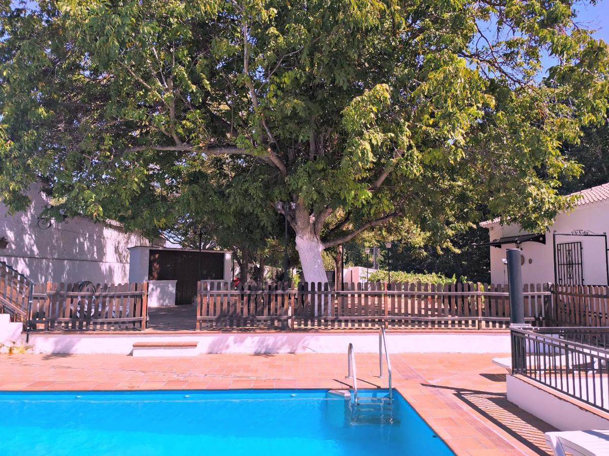 Complejo Apartamentos Rurales Molino De Abajo Ribera Baja  외부 사진