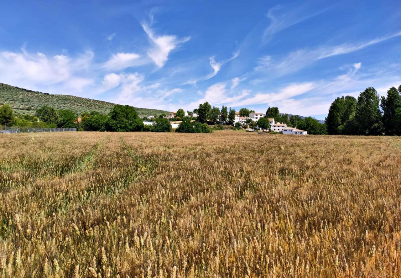 Complejo Apartamentos Rurales Molino De Abajo Ribera Baja  외부 사진
