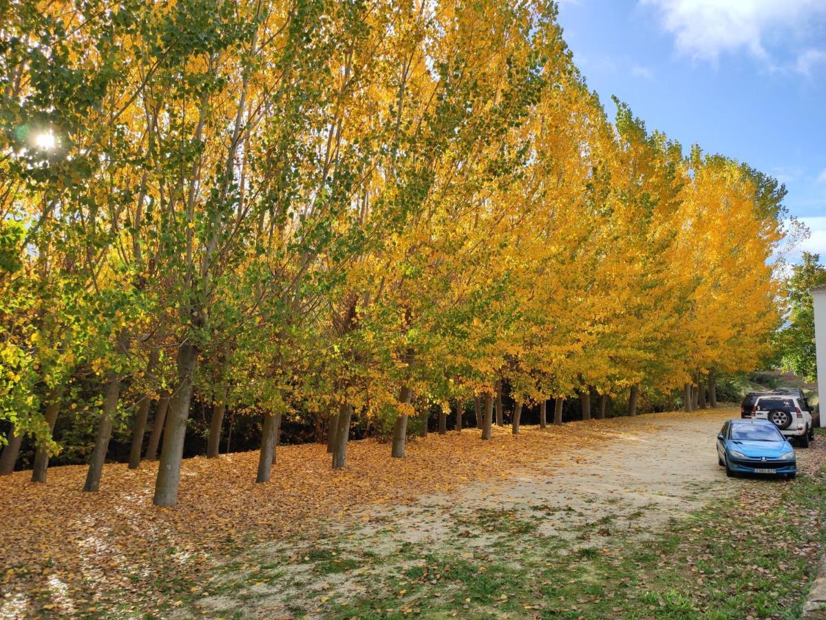 Complejo Apartamentos Rurales Molino De Abajo Ribera Baja  외부 사진